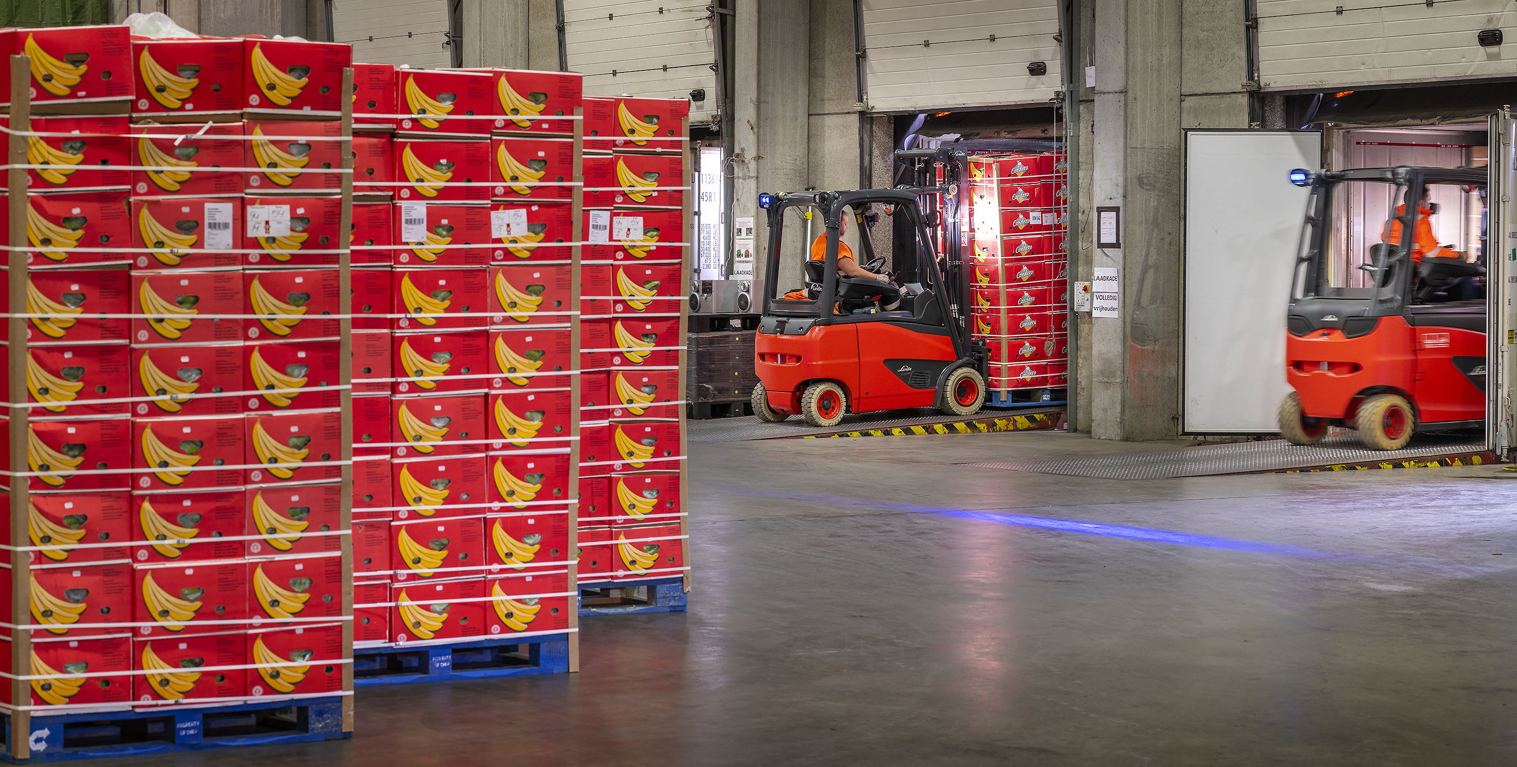 Luik Natie Coldstore loopt warm voor Linde