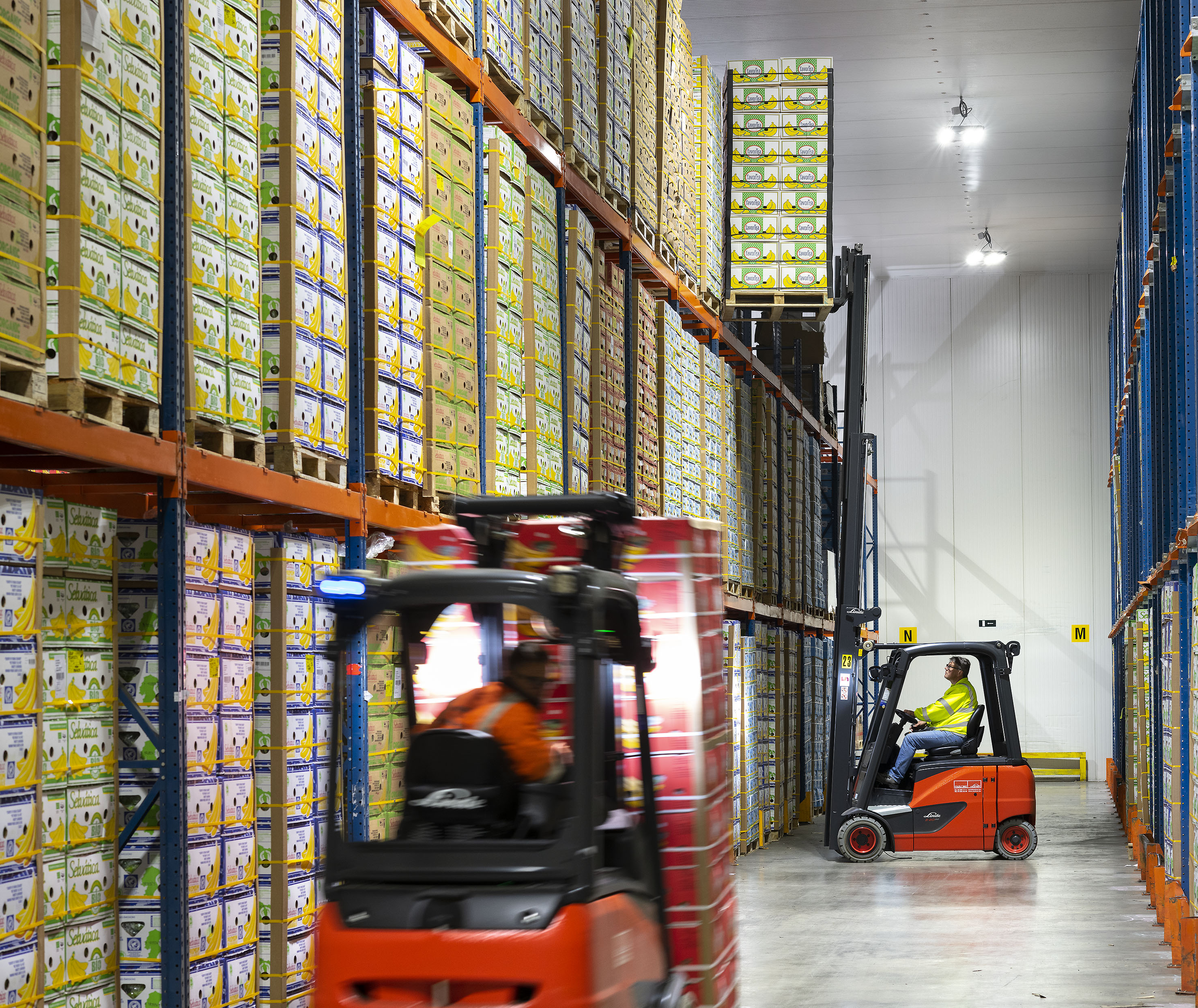 Luik Natie Coldstore loopt warm voor Linde